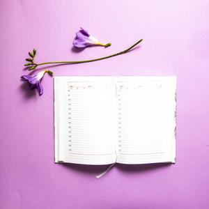 粉红色背景上的日记花