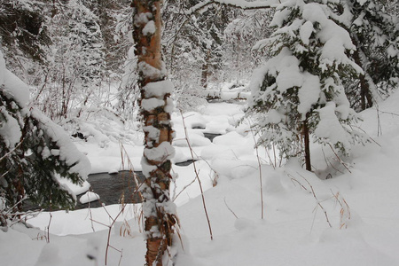 冬天的树林里有冰雪的河流