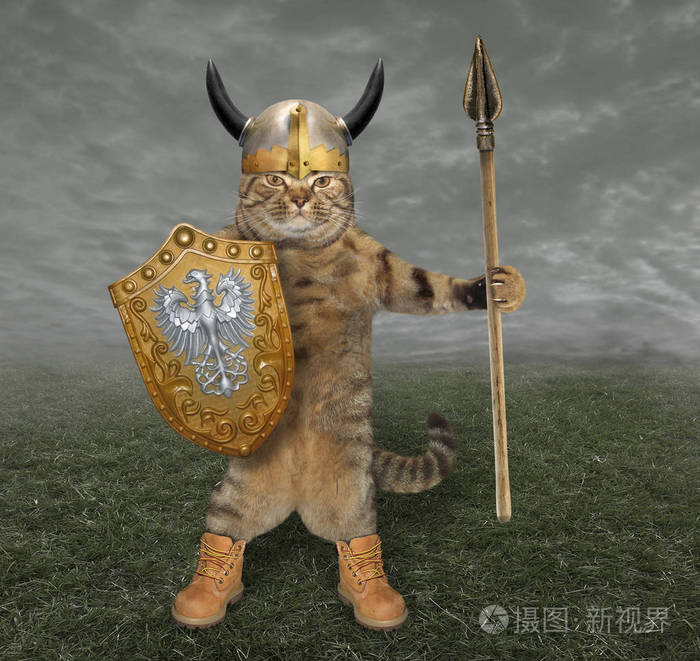 戴着角盔的猫骑士在战场上手持长矛和盾牌.
