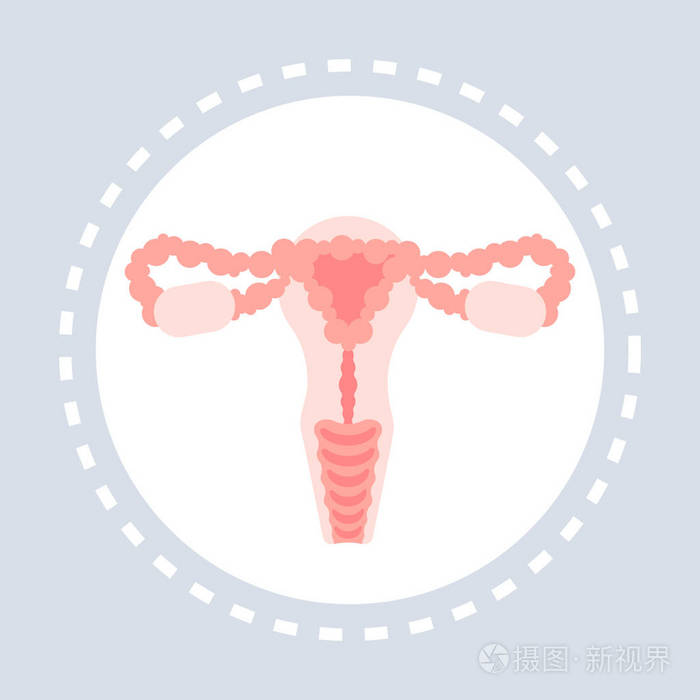 生殖系统解剖女性子宫, 子宫颈, 卵巢, 输卵管图标医疗服务标志医学和