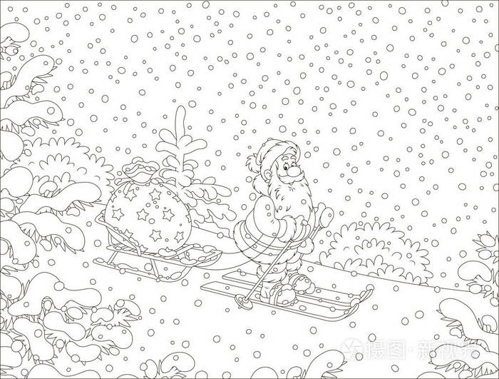 圣诞老人在一片覆盖着白雪的冬林中滑雪,在他的雪橇黑白矢量插图上背