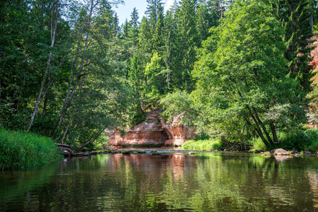 拉脱维亚阿马塔河的水流，夏季早晨有砂岩峭壁和绿叶