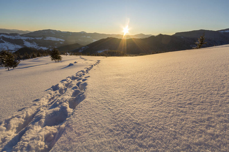 美丽的冬季圣诞景观。 人类足迹轨迹路径在水晶白色深雪穿过空旷的田野，木本黑暗的山丘，在日出时，在晴朗的蓝天上复制空间背景。