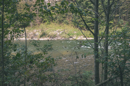 夏天绿水河在树后面。 斯洛伐克杜纳杰的复古外观