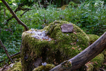 大型花岗岩岩石，单在自然环境中与其他岩石隔离