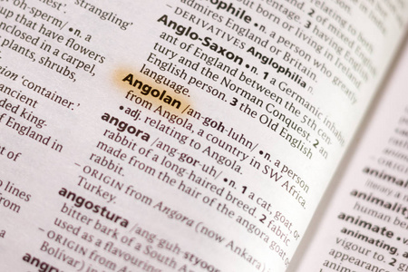 用标记突出显示的字典中的单词或短语安哥拉。