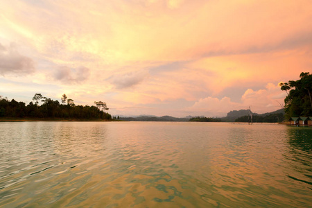 夏季森林河道景观。