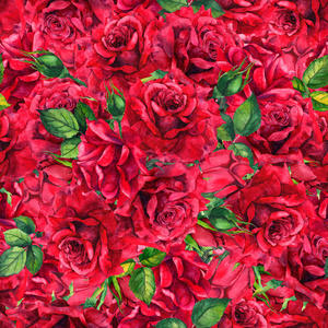 红玫瑰花有花蕾, 叶子。无缝的花卉图案。水彩