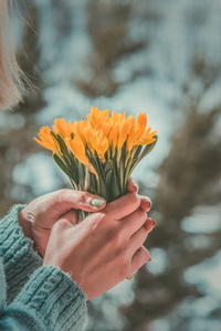 女人拿着一束黄花