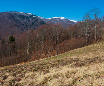 早春喀尔巴阡山脉高原景观，积雪覆盖山脊顶部在遥远的乌克兰。