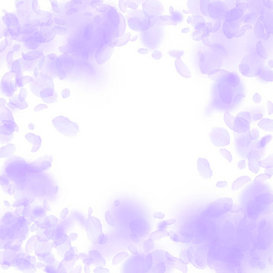 紫色花瓣落下。奇异的罗曼蒂