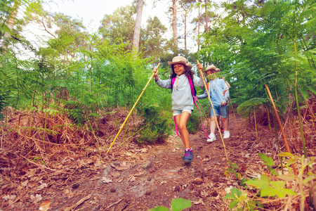 小女孩和小男孩在森林里徒步旅行，在夏天的露营活动中用棍子走路
