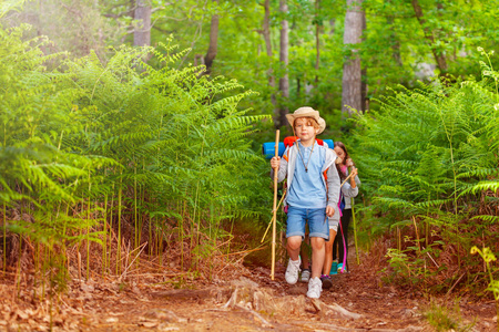 一个男孩的肖像带领一群孩子在徒步旅行小径上，在暑期学校活动日，电线杆在森林里散步