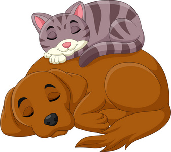 卡通猫和狗睡觉