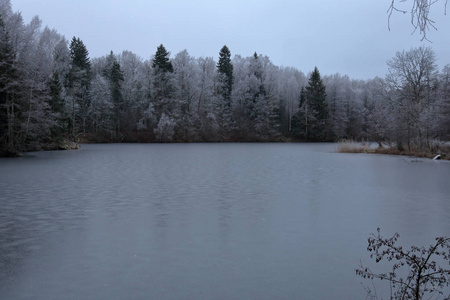 森林初冬湖泊的冻结水面