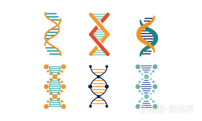 明亮的 dna 链集合, 螺旋遗传物质向量在白色背景例证
