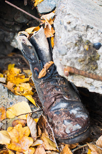 旧鞋和秋叶。单只老靴带落秋叶..旧破鞋。凉爽的晴天。