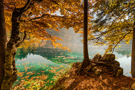 意大利阿尔卑斯山福辛湖的秋天风景。