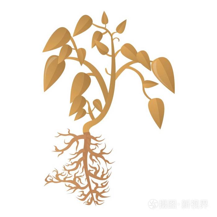 大豆干植物图标, 卡通风格
