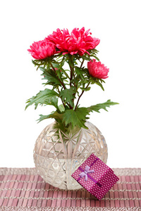 美丽的红色星号花束与礼品盒在白色孤立的背景。