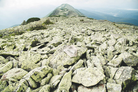 著名的多夫布桑卡山在亚雷米切卡帕西亚乌克兰的风景名胜区