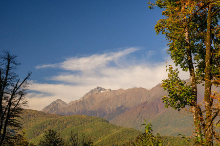 索契和罗莎库特山地度假胜地秋色的自然和山景