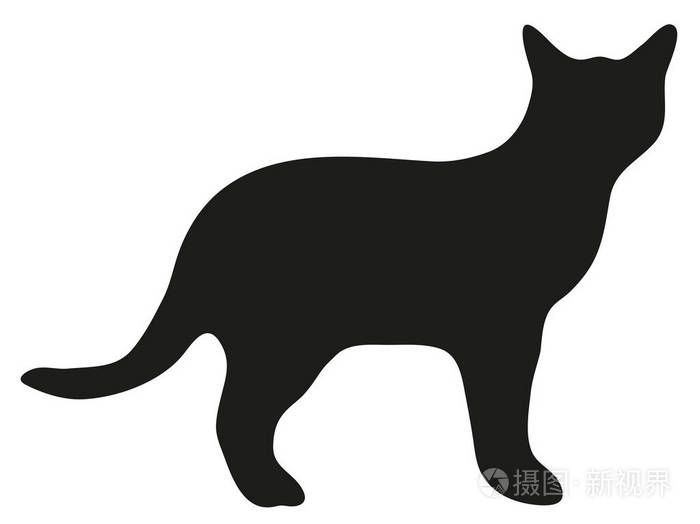 家猫的剪影