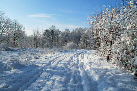 白雪覆盖的冬季景观中的小径