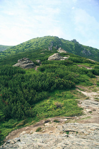 迷人的景观山上的烟雾，喀尔巴阡山，乌克兰