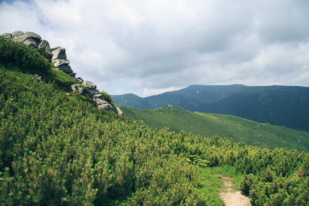 喀尔巴阡山美丽的自然景观，乌哈蒂卡明卡帕阡山脉，乌克兰