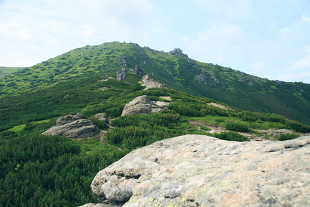 乌哈uhatiykamin Carpathians的清新绿色景观风景