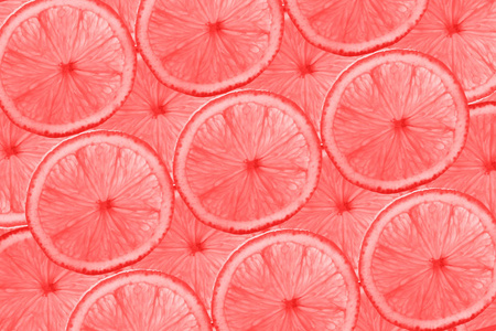 活珊瑚色2019年葡萄柚切片模式柑橘抽象背景。 时髦的颜色。