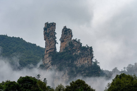 张家界森林公园的山