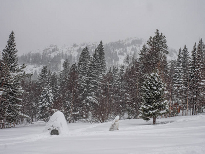 冬天雪山景观在山上很高。 降雪和能见度差。 恶劣的天气条件。 冬季生态旅游和积极生活方式