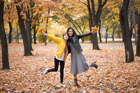 s leaves in autumn park. Beautiful landscape at fall season.