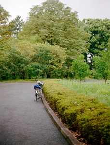 白天绿树成荫，停在偏僻空路旁的自行车景观