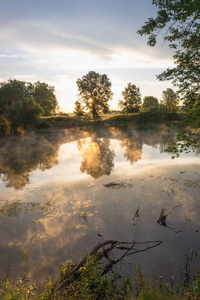 美丽的早晨景观在一条河上，薄雾笼罩着水面。