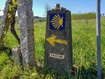 景观与黄色扇贝壳签署圣地亚哥德堆肥在圣詹姆斯朝圣路线卡米诺葡萄牙