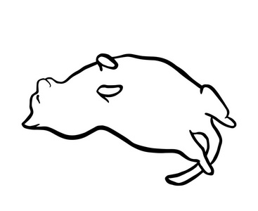 滑稽的手绘胖猫撒谎。 动物矢量轮廓草图插图与宠物小猫。 黑色轮廓隔离在白色上。