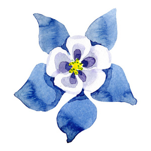 孤立的蓝色水斑画元素。水彩背景插图集。花植物学花