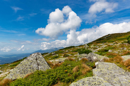 美丽的天空下，绿山草地上有石头的风景斯洛伐克鞑靼人