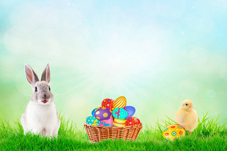 小兔子在篮子里拿着装饰好的鸡蛋和春天的鸡复活节卡片。