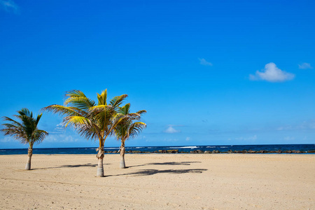圣基特原始的加勒比海海滩，有棕榈树和海洋背景