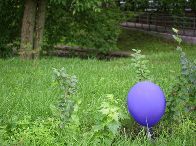 躺在草地上的蓝色气球