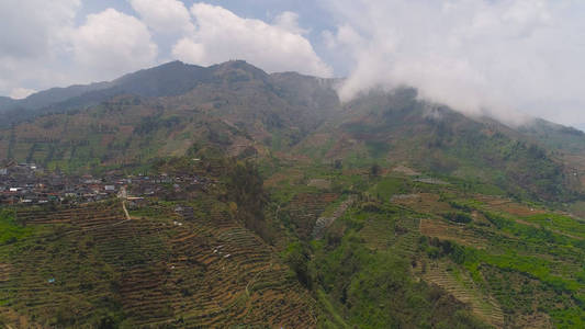 热带景观与农田在山