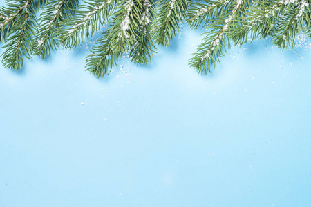 雪冷杉树分支和圆锥在蓝色背景