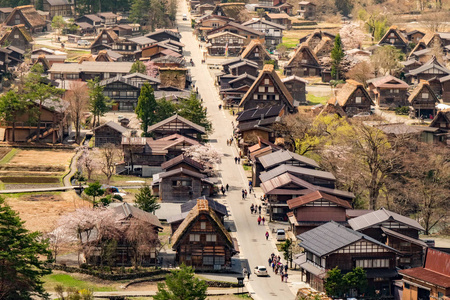 日本樱花盛开季节，与著名的传统加索祖库里农舍合二为一的传统村落白川戈村的鸟瞰图
