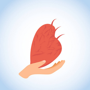 人的心脏在手扁平向量图标或标志