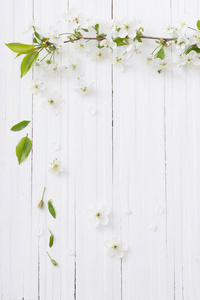 白色木制背景上的春天花