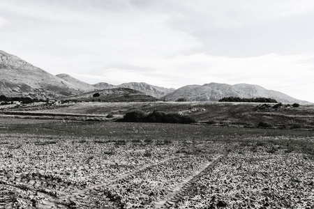 西班牙坎塔布里亚山脉的山谷。早晨的西班牙风景，山丘，牧场和阳光